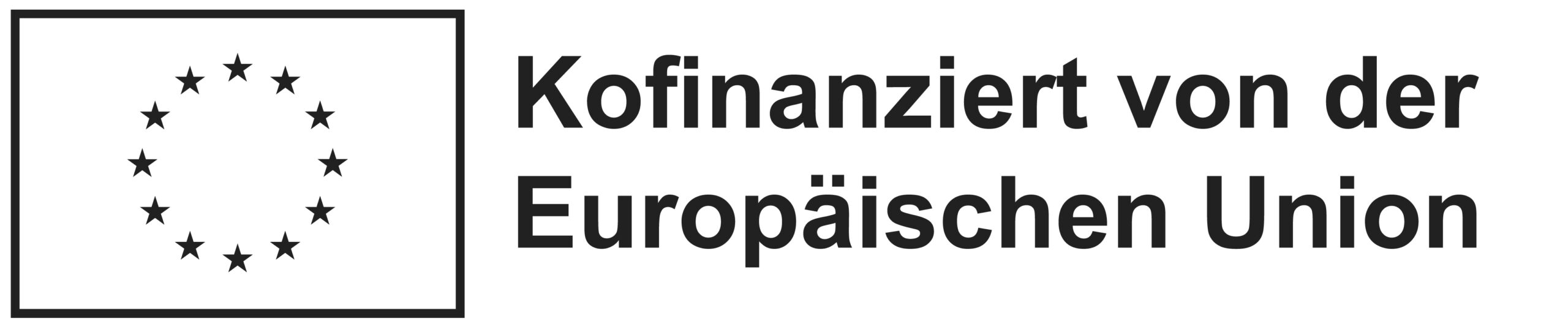 DE Kofinanziert von der Europäischen Union_BLACK Outline